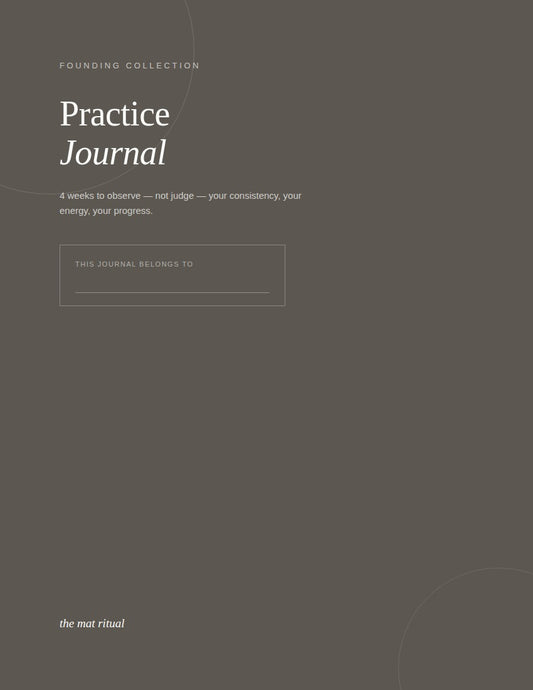 Diario de Práctica
